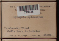 Image Associated With the Occurence